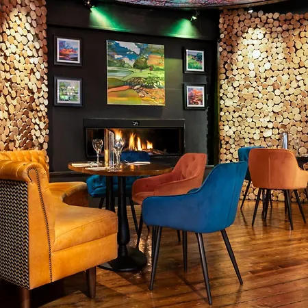 利默里克市酒店 Limerick Junction