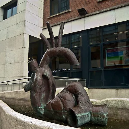 Limerick City Hotel Отель Лимерик