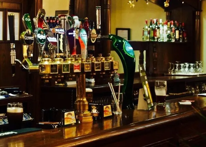 Otel Limerick City Hotel